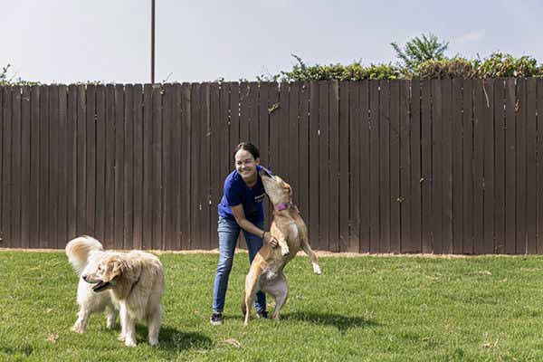 Staff with happy dogs at BrownDog Lodge