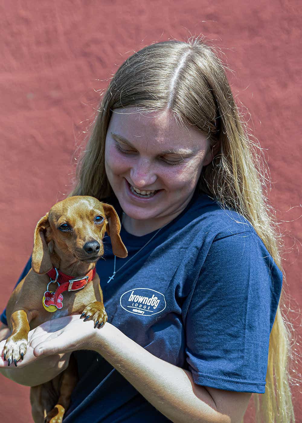 Vet staff member holding a dog