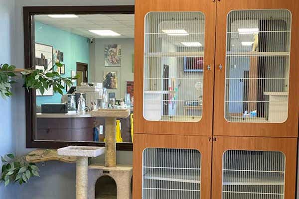 Cat Condos at BrownDog Lodge Vet Clinic