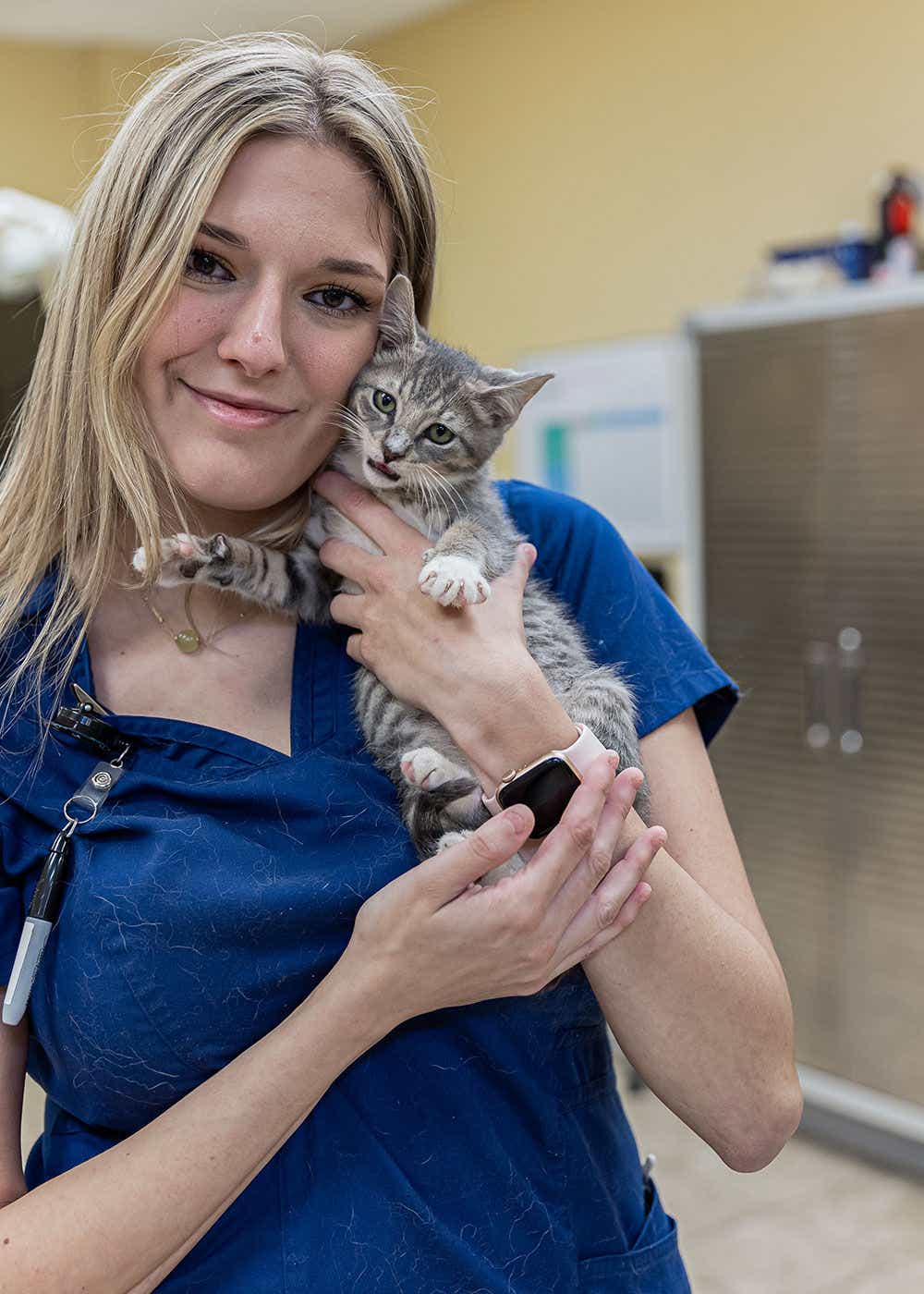 Vet staff holding a cat