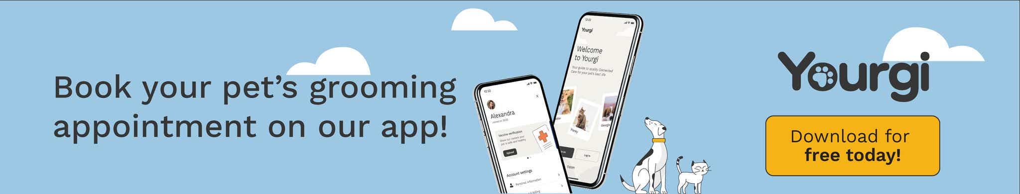 Book a grooming appointment with the Yourgi app